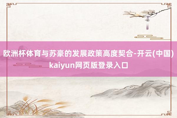 欧洲杯体育与苏豪的发展政策高度契合-开云(中国)kaiyun网页版登录入口