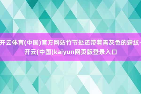 开云体育(中国)官方网站竹节处还带着青灰色的霜纹-开云(中国)kaiyun网页版登录入口