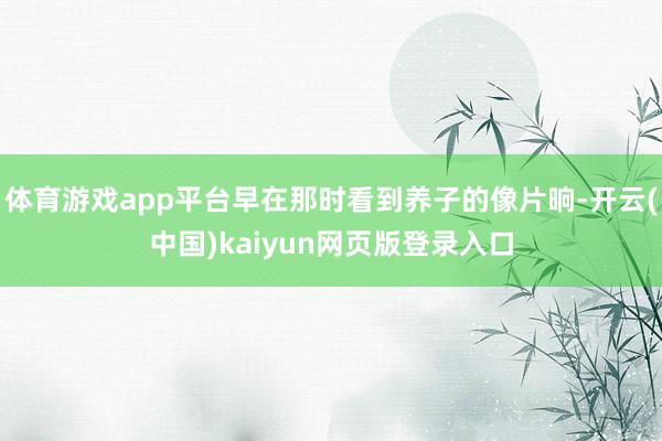 体育游戏app平台早在那时看到养子的像片晌-开云(中国)kaiyun网页版登录入口